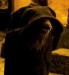 narnia-vlk.jpg